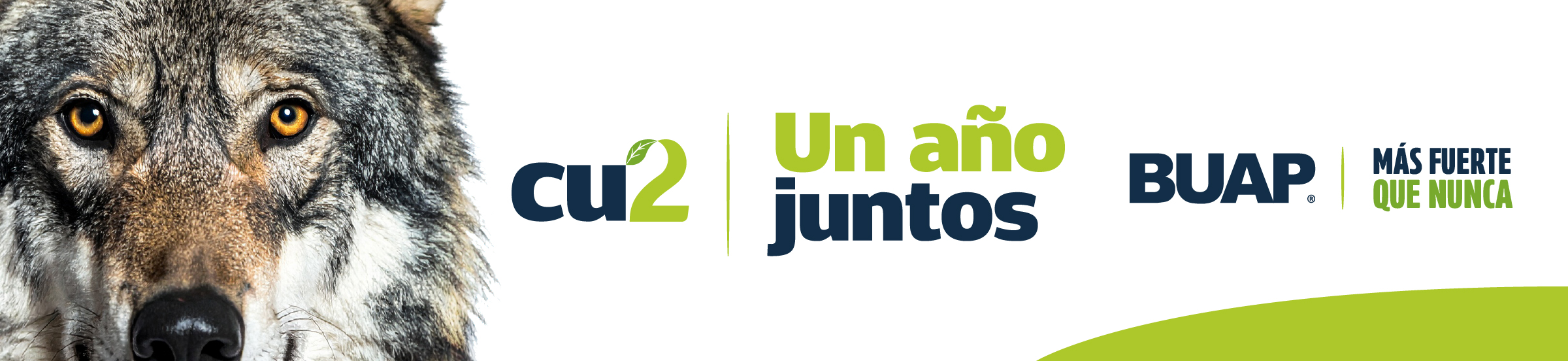 BUAP 11 Aug