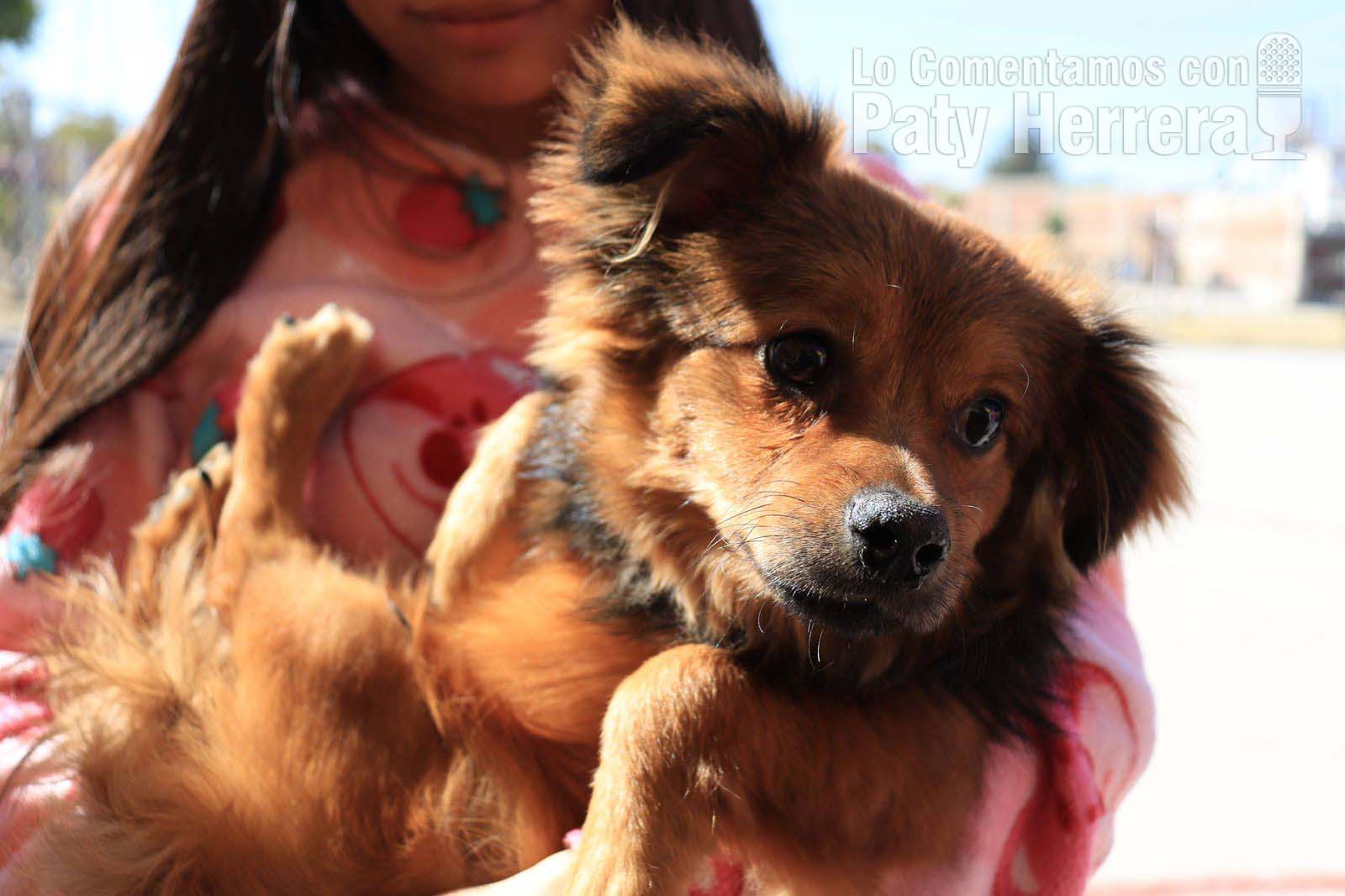 WhatsApp-Image-2026-02-16-at-10.06.58-AM